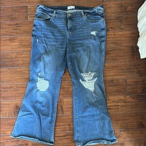 Lane Bryant Distressed Flare Jeans